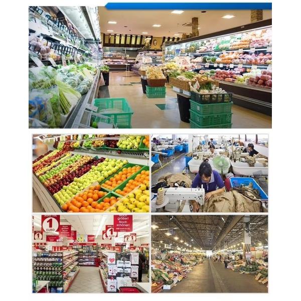 Plastic Turnover Basket Folded Stackable Storage Baskets For Harvest Fresh Food And Fruit Collapsible Crates