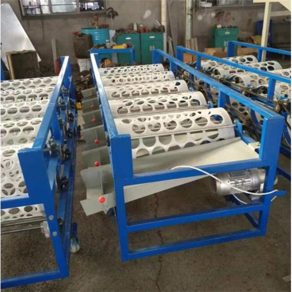 garlic sorting machine, garlic grading machine, garlic sorter, garlic grader