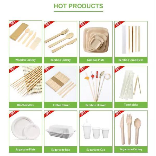 Biodegradable Disposable Compostable Small Customizable Wooden Spoon Mini for Standards