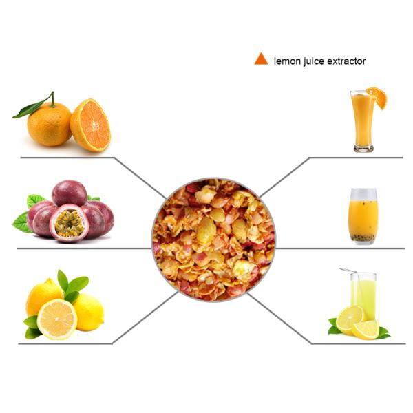 Electric Juicer Extractor Machine Making Fresh Squeezed Orange Lemon Juice