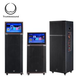 12 Inch Trolley Portable Speaker With Wheels Wifi Loudspeaker