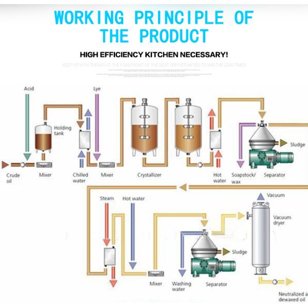 2000kg/day Capacity Canola Oil/palm Oil/palm Kernel Oil Refinery Machinery/equipment for Degumming/deacidification/bleaching