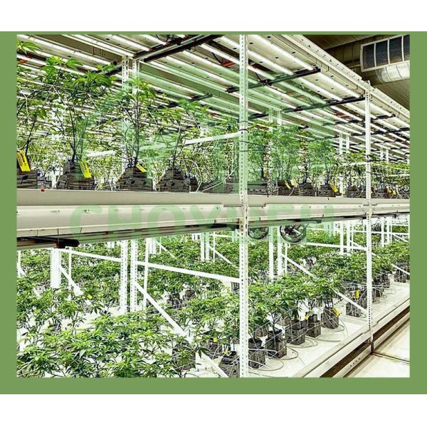 Multi-purpose Grow Racks Electrostatic Powder Coating Medium Duty Racking system