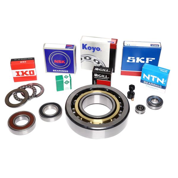 Complement Structure High Precision Needle Roller Bearing Cage Bearing IR45x50x35