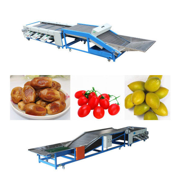 8500mm Apricot Core Pulp Vegetable Grader Sorter Washer Machine
