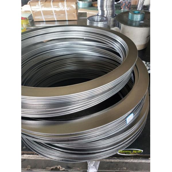 Optimal Temperature Performance Ss316 Flexible Reinforced Graphite Gaskets Customized