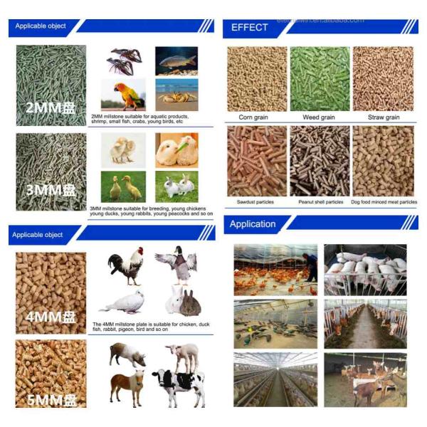 500kg Animal Feed Pellet Machine Cattle Chicken Feed Making Machine