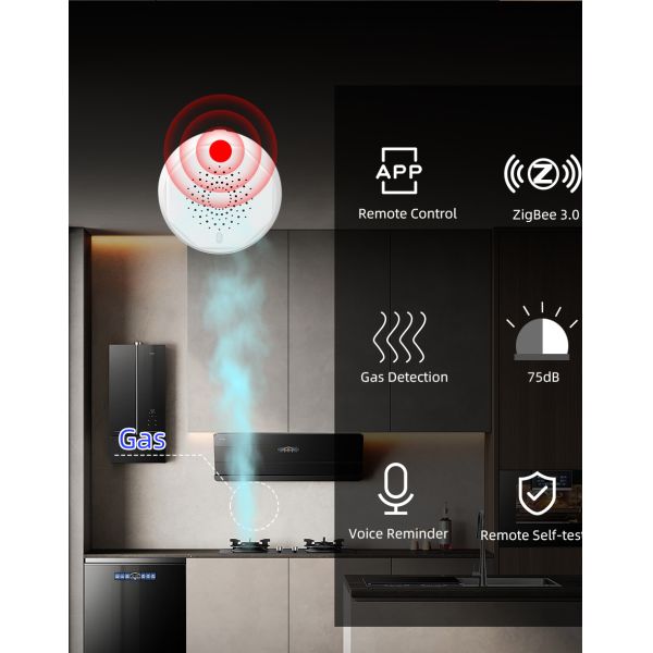Home Smart Combustible Gas Sensor Detector 80dB Tuya ZigBee Gateway For Kitchen