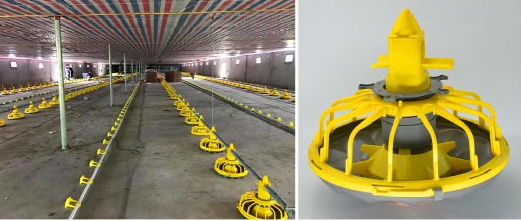 Automatic Poultry Feeding System with Galvanized Steel Construction and Automatic Feeding Control for Chicken Farm Equipment