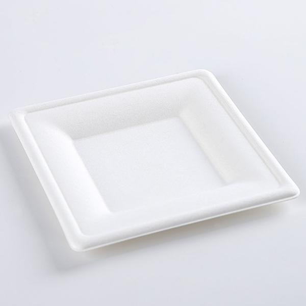 Eco-friendly Disposable Degradable Sugarcane Bagasse Box&Clamshell Tableware(Box,Bowl,Plate,Tray,Cup)