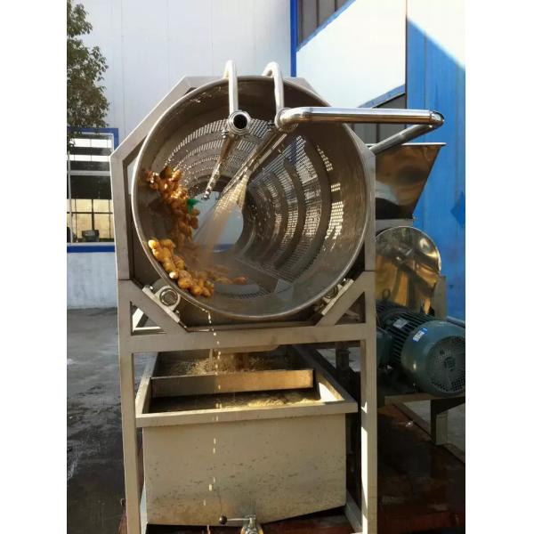 Complete Customized Cucumber Processing Line Celery/Kale/Cucumber Production Plant Turnkey Equipment For Vegetable Industry