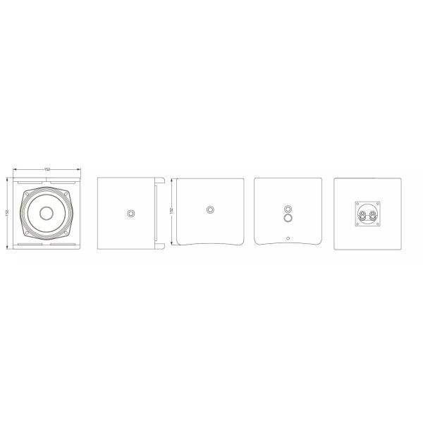 100W RMS Full Range Speaker