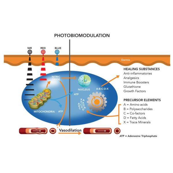 RTMS PBM Photobiomodulation Helmet