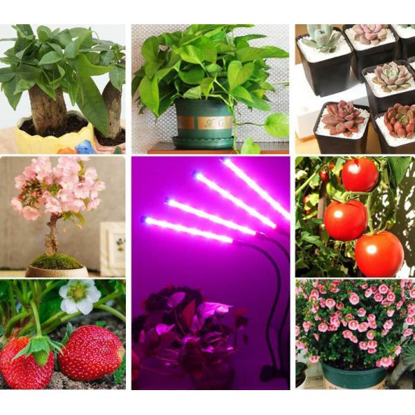 DC5V Full Spectrum 80W LED Grow Light