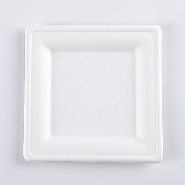 8" Compostable bagasse square dinner dessert Plates