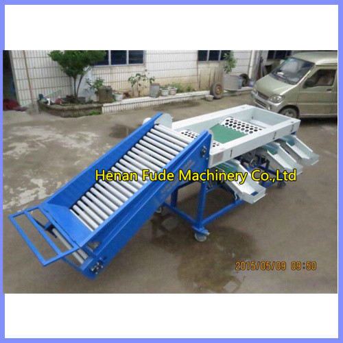 Buy garlic grading machine, garlic sorting machine at wholesale prices