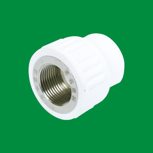 2021 Corrosion-Resistant Support Customization Ppr Tee Fitting Threaded Plastic Pipe Fittings Ppr Pipes and Fittings