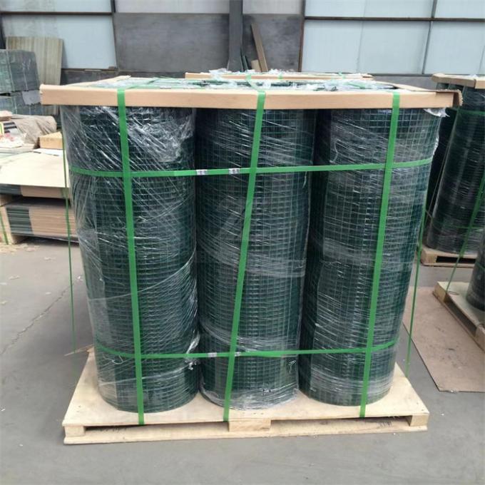 Electro Galvanized Welded Wire Mesh 1.2m Width Roll for Indoor Isolation