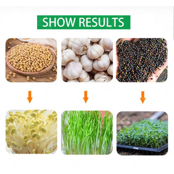 250kg/d Automatic Quick Mung Bean Sprout Machine Barley Bean Sprout Machine