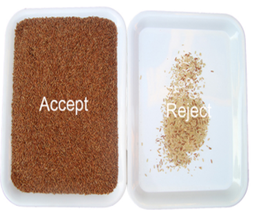 Parboiled Brown Rice Sorting Machine High Accuracy