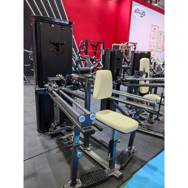Foldable Vertical Row Machine with Linear Guide for Back Strength Training and Customized Logo for Indoor Use