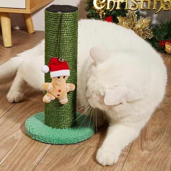 Colourful Cactus Cat Scartcher Toweling Material Stability US Currency Initial Payment