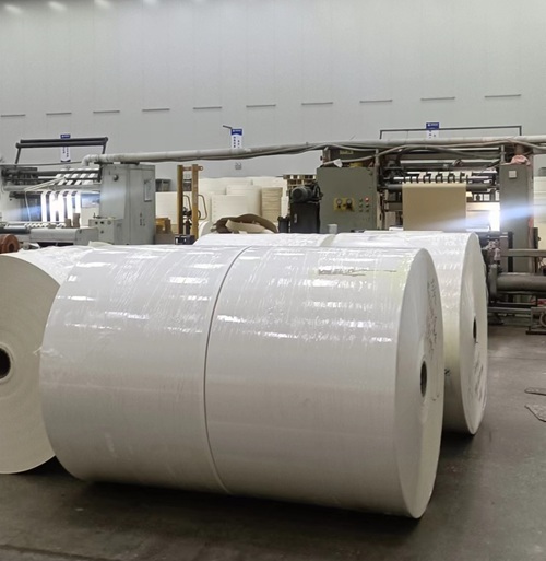 Single or Double Side PLA Coated Paper Roll Compostable Biodegradable Material