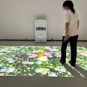 Interactive Floor Projection Machine for Schools and Kids