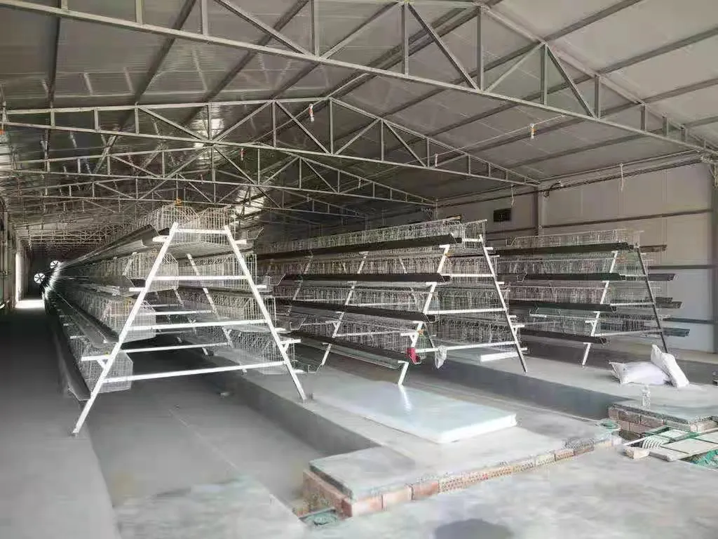 Custom Multi Tier A Type Layer Cage Strong Structural Poultry Living Egg Layer Cages