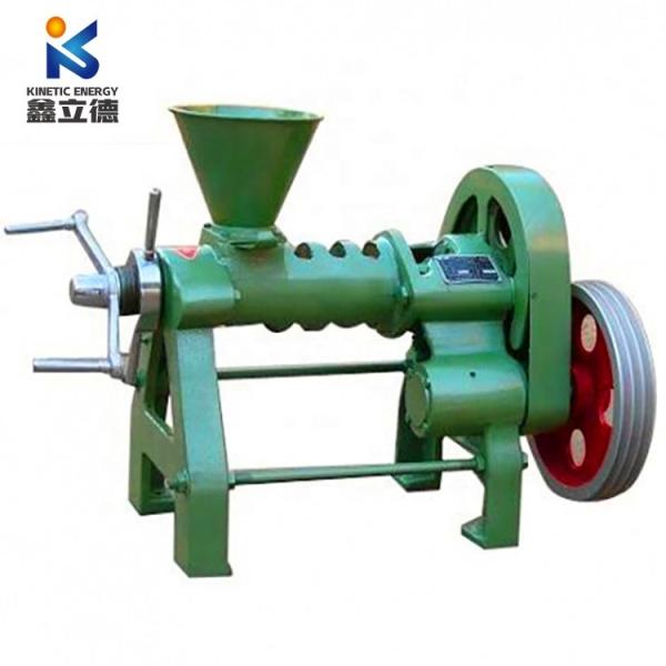 Automatic Grade Automatic High Yield Argan Oil Press Machine/Home Olive Oil Extraction Machine/Home Small Oil Presser 11kg