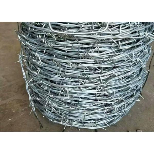 barbed wire