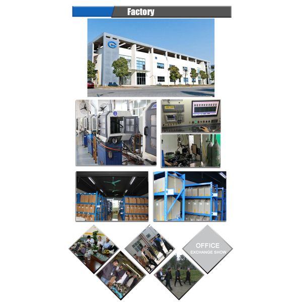 High Performance OEM 0281002488 for FIAT Fuel Pressure Regulator Pressure Control Valve