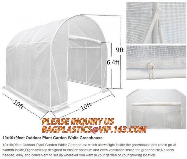 Easy install greenhouse tomato single-span Plastic Film Green House,Low cost garden green houses for plating, PACKAGES 0