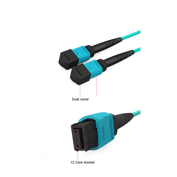 8 Core 12 Core 16core OM4 Fiber Optic Patch Cord Mpo Mtp Patch Cord Polish Type UPC To UPC