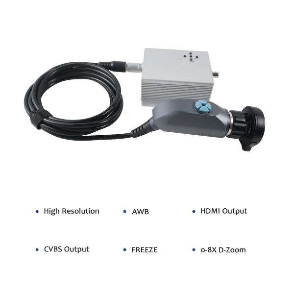 Versatile 2-Output Portable Endoscope for Real-Time Diagnostics
