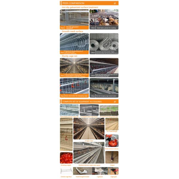 Automatic Battery Day Old Chicks Poultry Equipment Automated Pullet Brooding Cages for Layers