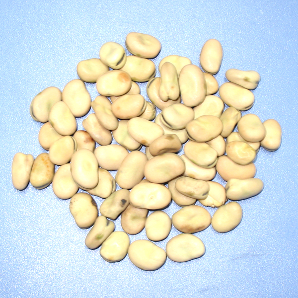 Multi-Function Coffee Bean Color Sorter High-Efficiency Optical Sorter for Nuts, Beans and Dehydrated Veggies