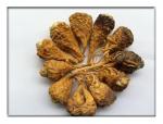 Dried maca root , Ginseng of South Amercia, Dried yellow/black/purple maca root