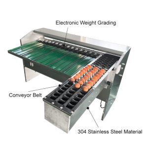 Quality Automatic Egg Sort Grade Weighing And Sorting Egg Machine Egg Grading Process Line Scale Grader Mini Sorter Egg Machine Commercial Egg Sorting Machine for sale