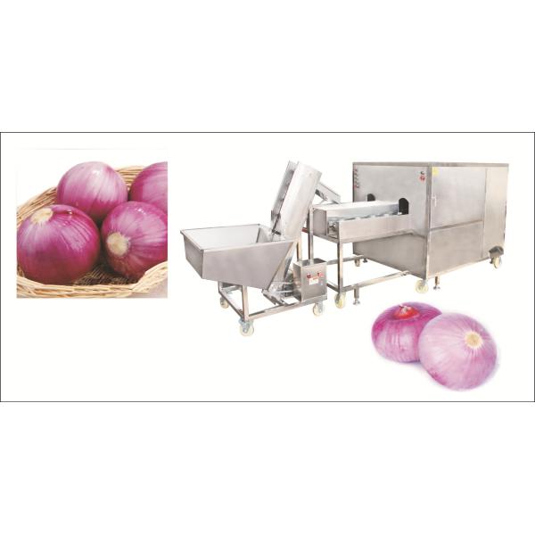 Advanced Onion Garlic Peeling Machine for Processing Types Vegetable Process Equipment
