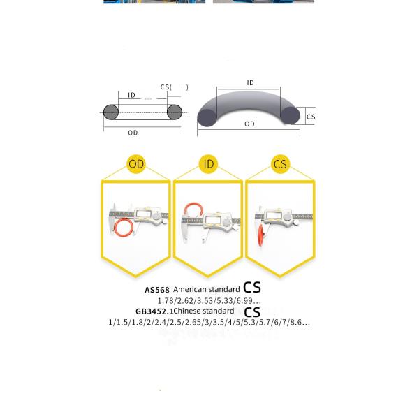 Customized O-Ring with ISO9001 Certification and Fast Delivery