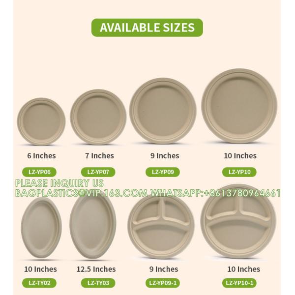 Eco-Friendly Wholesale Bio Disposable Sugarcane Food Container Snack Cookie Fruit Rectangular Plates