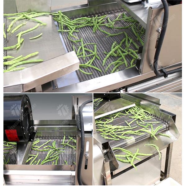 4.5KW Fruit And Vegetable Processing Line Vibration Draining Equipment
