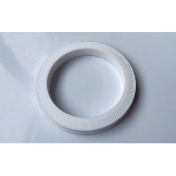 Replaceable Easy Installation 80 Nitrile PTFE Hammer Union Lip Seal Gasket / Ring