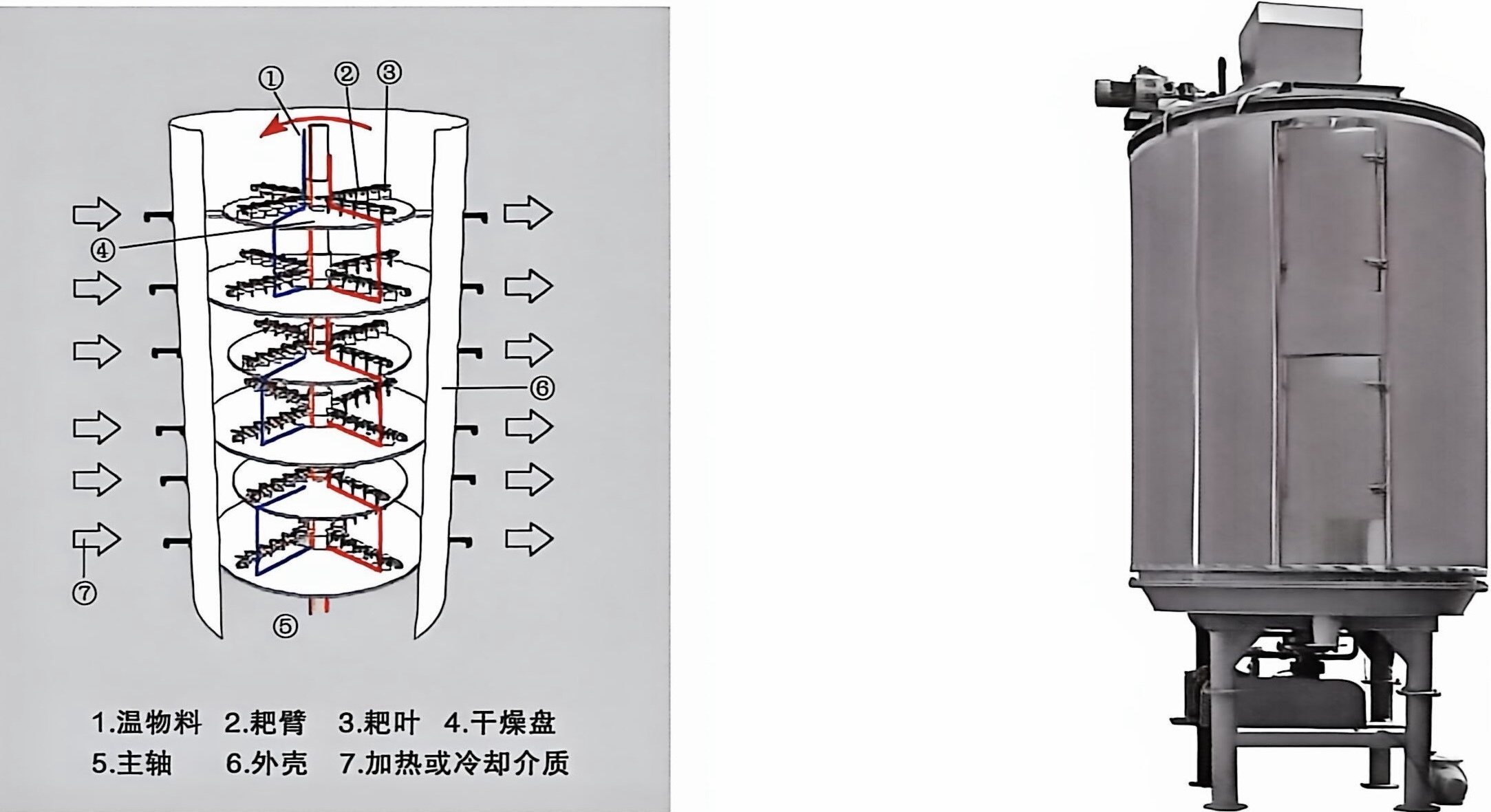 Continuous Plate Dryer with compact vertical structure enabling conduction drying and precise control of drying parameters