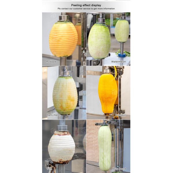 Gourds Medium Sized Melon Fruit And Vegetable Peeler Machine Double Headed