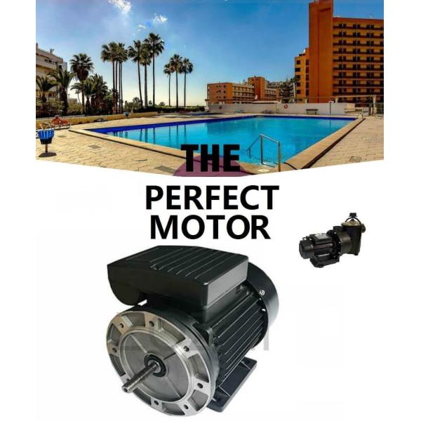 swimming pool pump motor