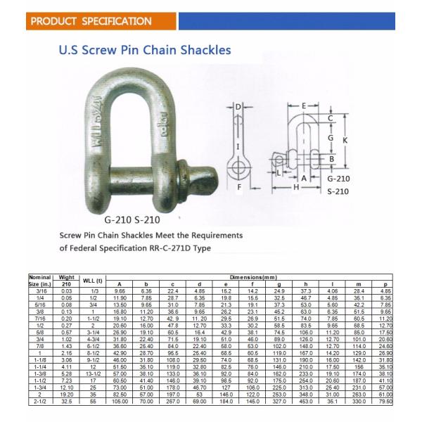 U.S Type Rigging Hardware Mainr Galvanized G210 Screw Stainless D Shackle