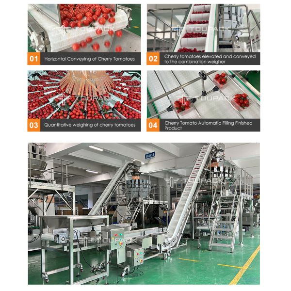 Automatic Plastic Box Weighing Filling Machine For Fruit And Vegetable