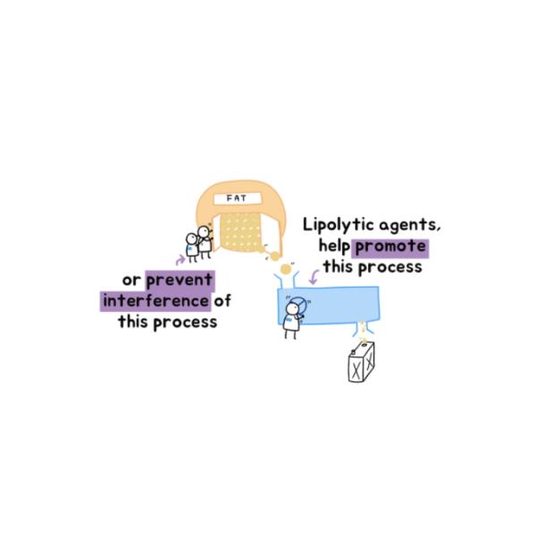 Lipolytic Slimming Fat Dissolving Solution For Face Double Chin Belly Body